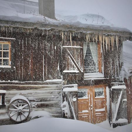 Albyggarden Villa Røros Exterior foto
